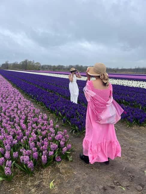 Lisse: Private Tulip Fields Tour with a Local Guide 1h Tour - Rain is possible in Holland, so dress like a realist