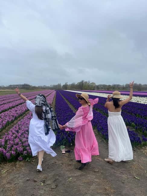 Lisse: Private Tulip Fields Tour with a Local Guide 1h Tour - The 1-hour tulip-field route and why it works