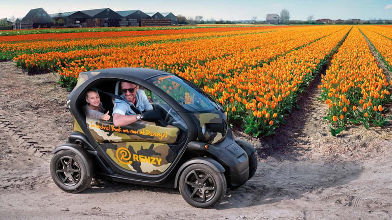 Lisse: Self-Guided Tulip Fields GPS Audio Tour - Key highlights at a glance