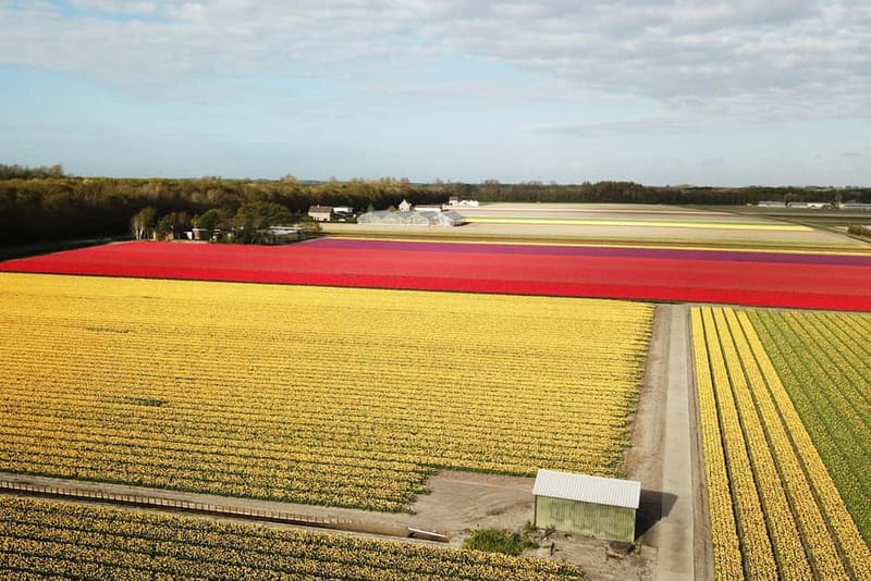 Lisse: Self-Guided Tulip Fields GPS Audio Tour - Your 20-Kilometer GPS Route: how self-driving stays simple