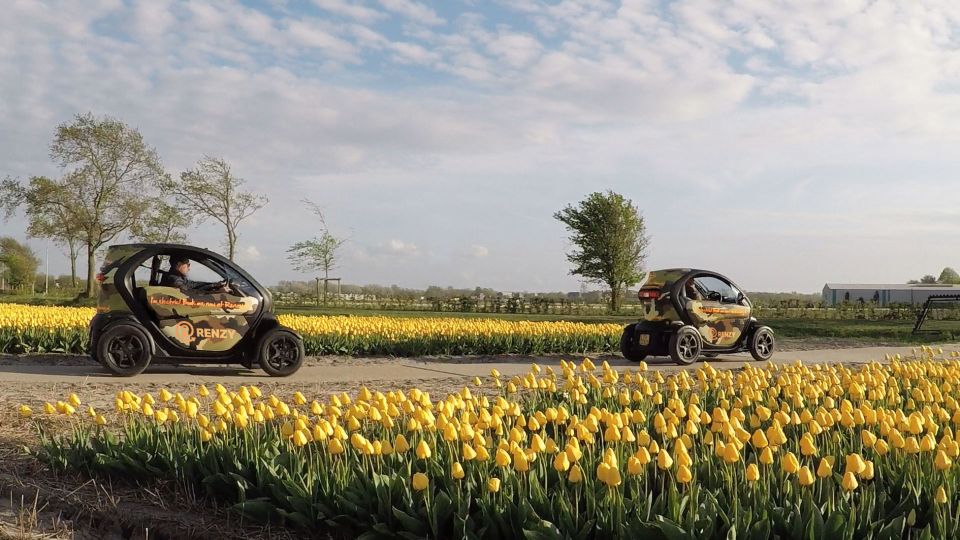 Lisse: Self-Guided Tulip Fields GPS Audio Tour - Price and timing: what $50 buys you in the real world
