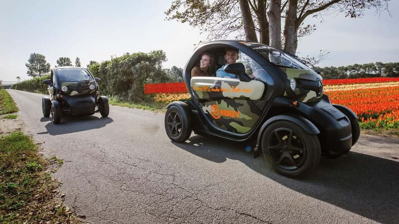 Lisse: Self-Guided Tulip Fields GPS Audio Tour - Should you book the Lisse Twizy GPS tulip tour?