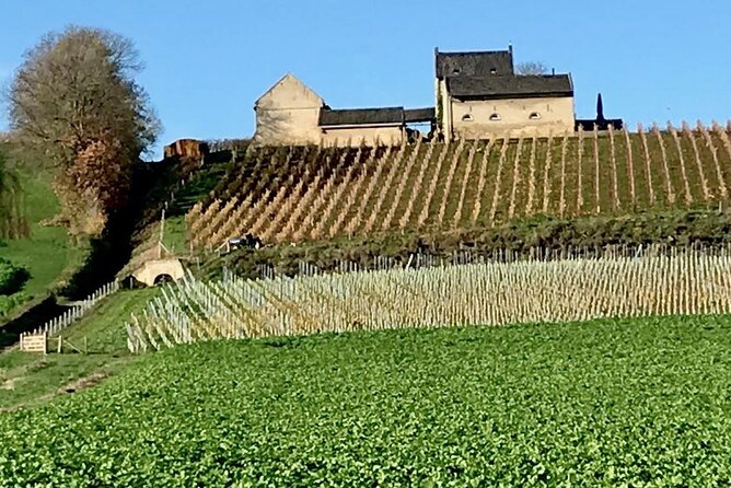 Maastricht Heritage and Nature Tour - Slavante break: Maas river views plus a vineyard detail
