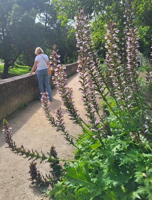 Maastricht Hidden Gems Tour Uncover the Unexpected - Mestreechter Geis and “Op de Thermen”: where Roman echoes meet everyday names
