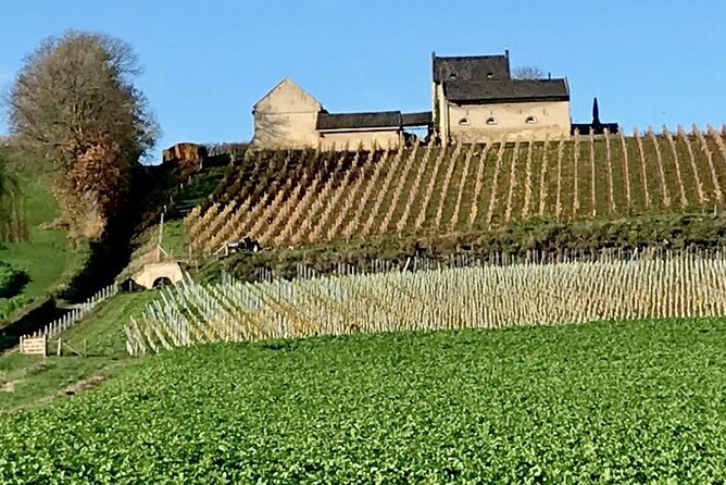 Maastricht Privat Sightseeing City Walk - Price value for a group (and why the math can work)