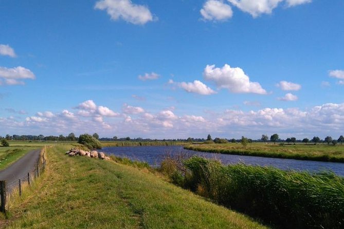 Off the beaten paths Dutch Country Side Private Tour in Jaguar - Stop 3: Simonehoeve cheesefarm and clogs factory, pick your level of hands-on
