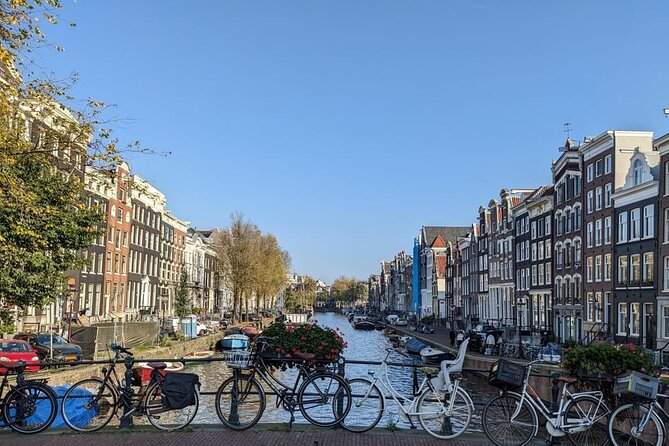 Private Amsterdam Historical Walking Tour - Vrankrijk: Counterculture History in a 10-Minute Reality Check