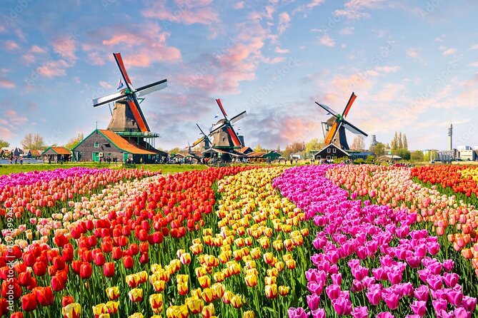 Private Countryside Tour From Amsterdam - Key highlights and practical takeaways