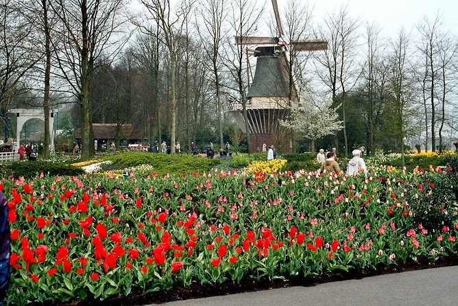 Private Day Trip from Amsterdam to Keukenhof with Entrance Tickets - Keukenhof Gardens: How to Make the Most of 4 Hours