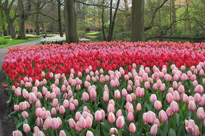 Private Day Trip from Amsterdam to Keukenhof with Entrance Tickets - Private Driver-Guide Service in English