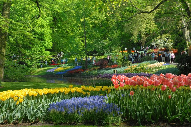 Private Day Trip from Amsterdam to Keukenhof with Entrance Tickets - Price and Value of $467.26 Per Person