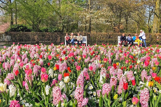 Private Day Trip to Keukenhof Gardens with Entrance Tickets - Pickup, timing, and how the 6-hour plan really plays out