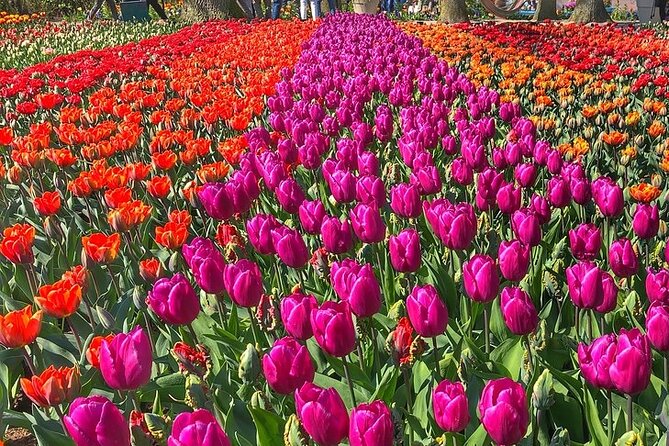 Private Day Trip to Keukenhof Gardens with Entrance Tickets - Skip-the-line entry and the mobile ticket advantage