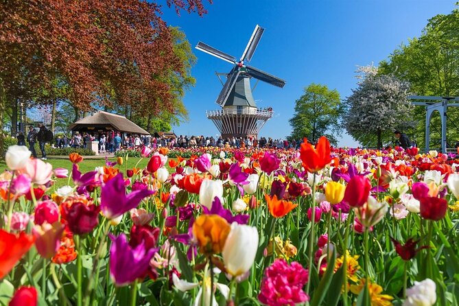 Private Flower Tour to the Keukenhof - Key highlights at a glance