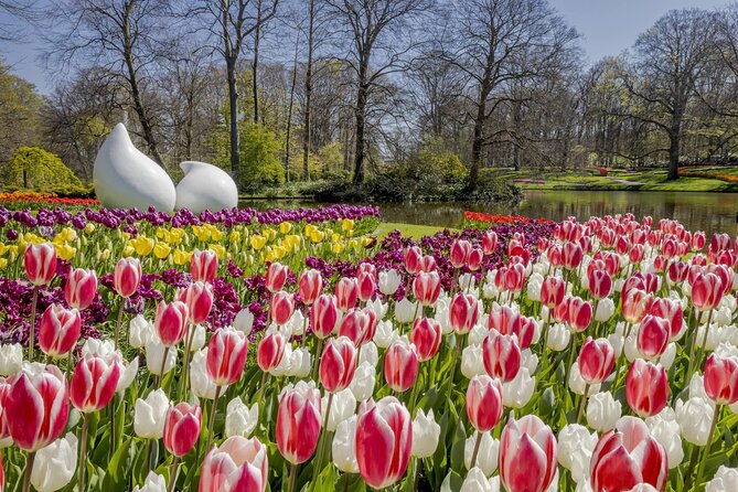 Private Flower Tour to the Keukenhof - Door-to-door pickup from Amsterdam, your way