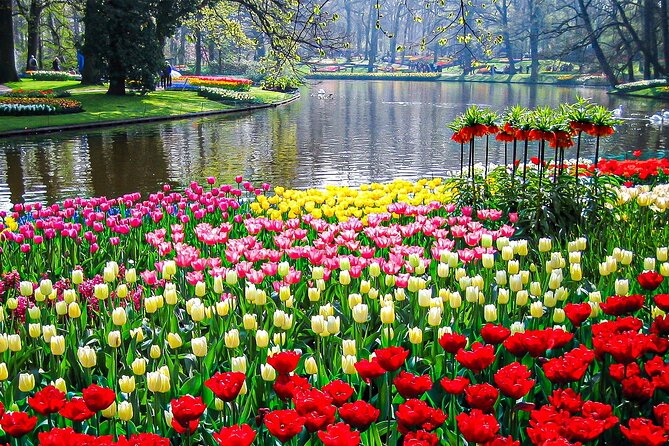 Private Flower Tour to the Keukenhof - Practical tips to make the day run smooth