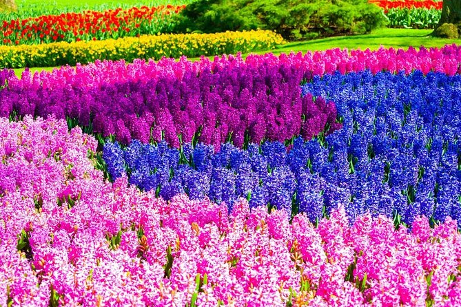 Private Flower Tour to the Keukenhof - Who this private Keukenhof tour is best for