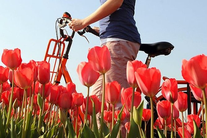 Private Guided Full-Day Customizable Tour of Holland from Amsterdam - Dairy farms, cheese, and wooden clogs: what you get beyond souvenirs