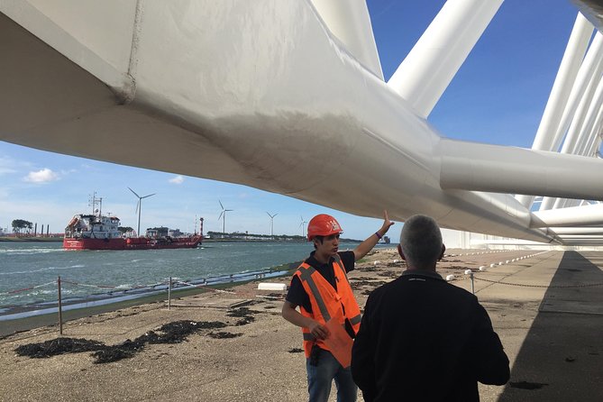 Private Guided Full-Day Customizable Tour of Holland from Amsterdam - Windmills and water engineering: the Dutch superpower you’ll actually understand