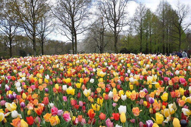 Private Guided Keukenhof Gardens and Zaanse Schans Tour - Cheese tasting at Catharina Hoeve: a short stop with real payoff