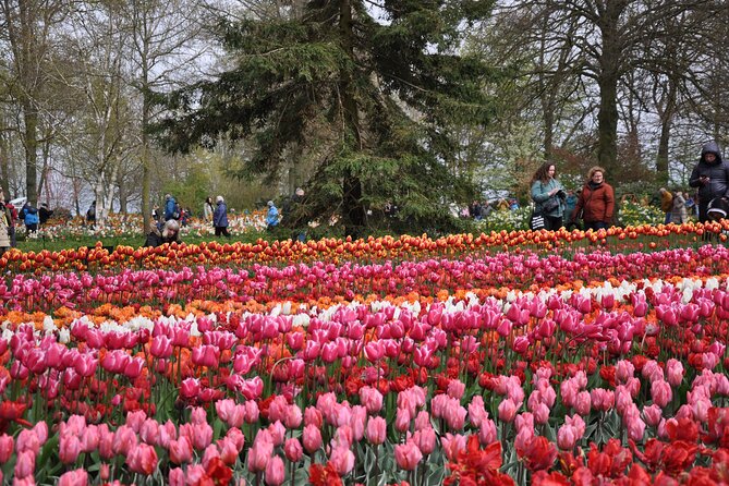 Private Guided Keukenhof Gardens and Zaanse Schans Tour - What you actually learn and why it makes the day better