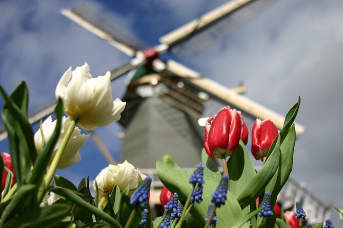 Private Guided Tour of Keukenhof Tulip Gardens & Private Windmill - Flower bulb region drive: photo stops with context, not just scenery