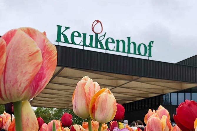 Private Guided Tour of Keukenhof Tulip Gardens & Private Windmill - Price and value: what you’re paying for at $706.94 per person