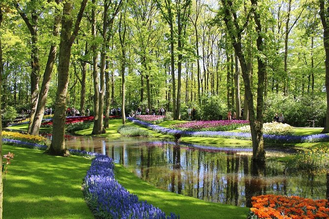 Private Half-Day Trip From Amsterdam to The Tulip Fields in Keukenhof - Private ride from Amsterdam to Keukenhof: quick trip, big payoff