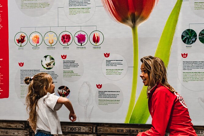 Private Keukenhof Gardens and Tulip Fields Tour from Amsterdam - Key Highlights You’ll Actually Feel
