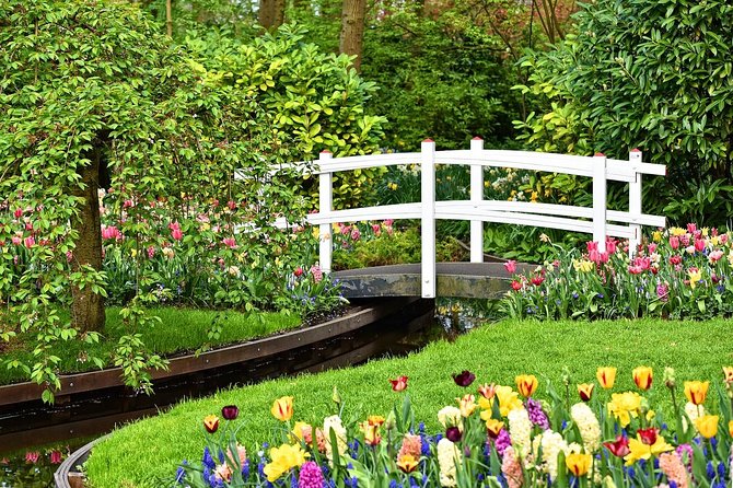 Private Keukenhof Gardens and Tulip Fields Tour from Amsterdam - Who This Tour Fits Best (and Who Should Skip It)