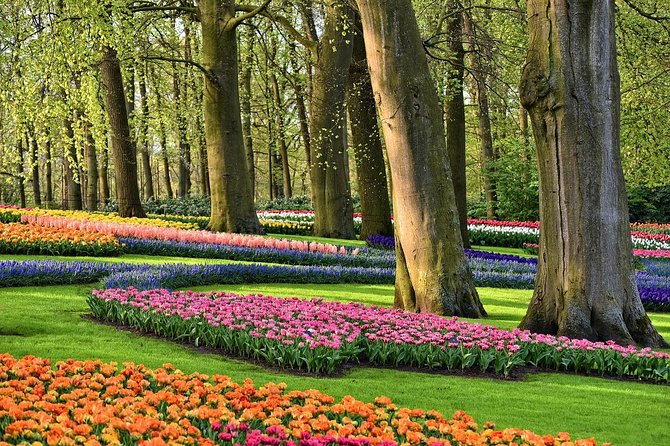 Private Keukenhof, Gardens, Windmills, cheese tour from Amsterdam - Key highlights worth building your day around