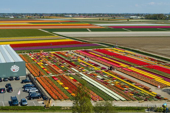 Private Keukenhof, Gardens, Windmills, cheese tour from Amsterdam - Price and value at around $499 per person for a private route