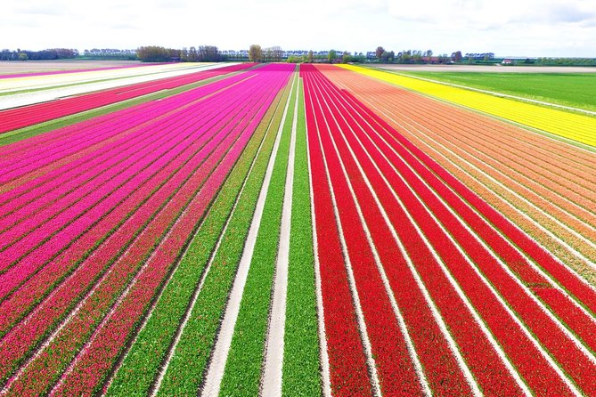 Private Keukenhof Park and Tulip Fields Tour (Skip-The-Line) - Private Mercedes-Benz Pickup: The Part That Makes Keukenhof Easy
