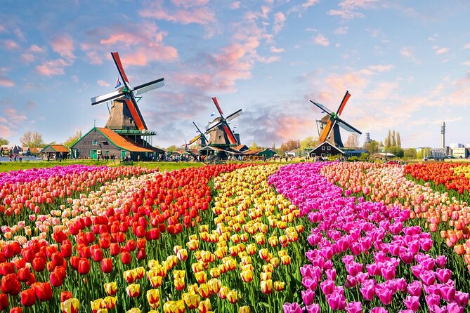 Private Keukenhof Park and Tulip Fields Tour (Skip-The-Line) - Keukenhof Gardens: Your On-Your-Feet Time With Millions of Blooms