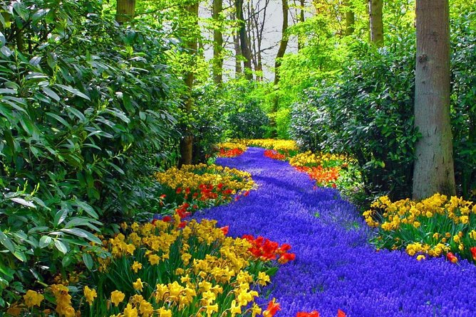 Private Keukenhof Park and Tulip Fields Tour (Skip-The-Line) - 5 Hours, Real Timing: How to Use the Day Without Feeling Rushed
