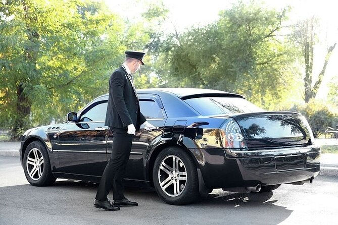 Private One way Transfer Amsterdam Airport to Amsterdam - Choosing Your Vehicle: Sedan, Minivan, or Minibus (and Luggage Fit)