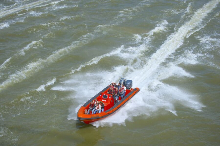 Private RIB-experience - The Maas Gets Busy: Vlaardingen, Waalhaven, and Pernis