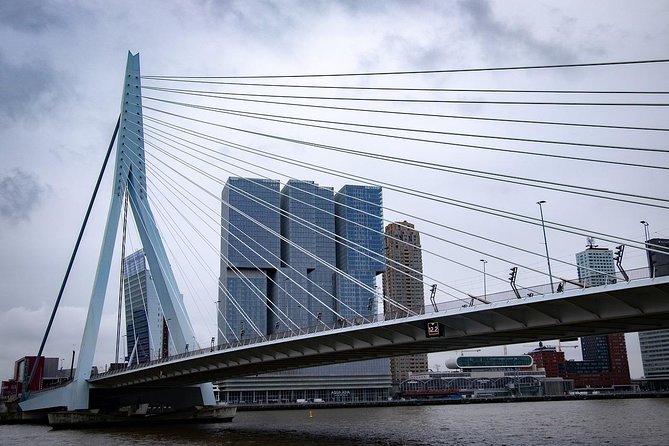 Private Rotterdam Cruise Port Departure Transfer to Amsterdam - What You Do (and Don’t) Need to Arrange