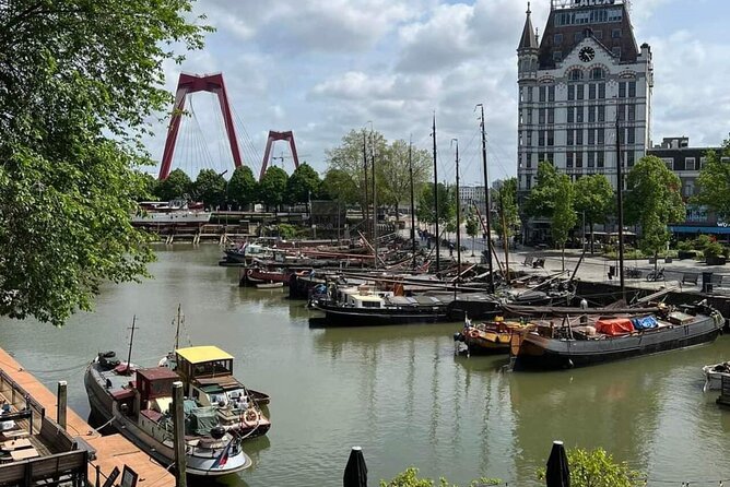 Private Tour of The Hague, Delft and Rotterdam with Lunch - Lange Voorhout and Grote Kerk: classic streets meet stork-on-a-roof humor