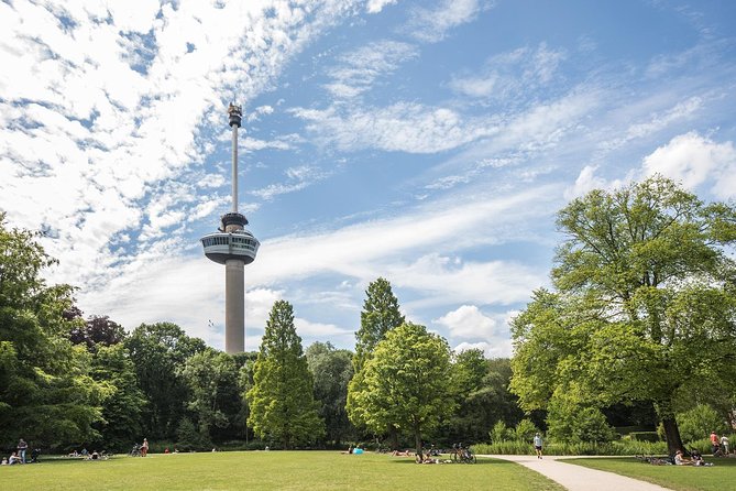 Private Tour: Rotterdam Walking Tour Including Harbor Cruise - WWII scars to modern port power: the big idea behind this tour