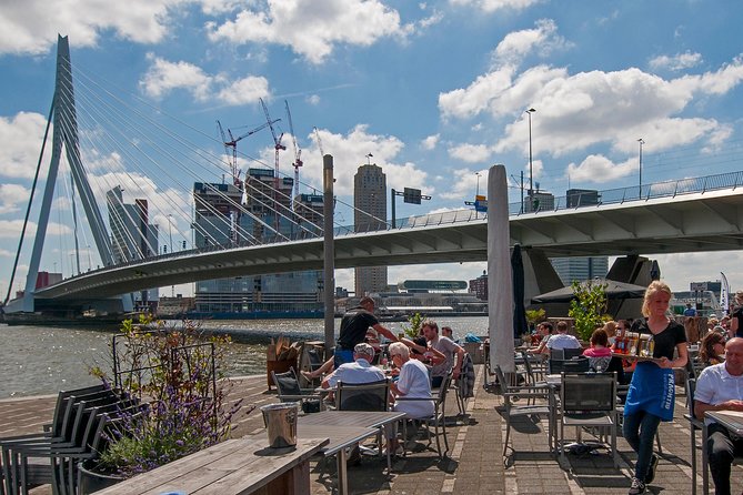 Private Tour: Rotterdam Walking Tour Including Harbor Cruise - Museumpark: art, museums, and the “city as a campus” feel