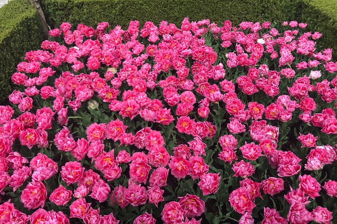 Private Tour to the Keukenhof and Tulip Fields - Aalsmeer Flower Auction: see the supply chain behind the beauty