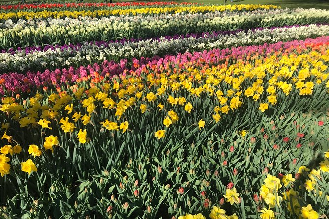 Private Tour to the Keukenhof and Tulip Fields - Keukenhof gardens: 2 hours that can feel like a lot (if you plan it)
