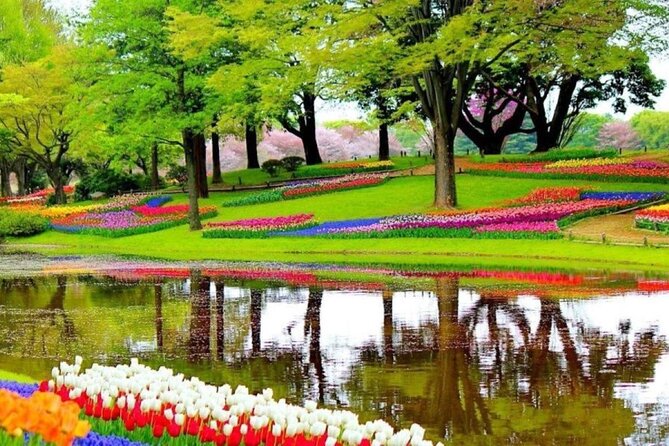 Private Tour to Tulips, Keukenhof, Windmills & Cheese Farm - The route that saves you the hassle: Amsterdam to tulips, Keukenhof, windmills, cheese