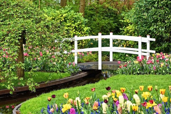 Private Tour to Tulips, Keukenhof, Windmills & Cheese Farm - Who this tour fits best (and who might want to rethink it)