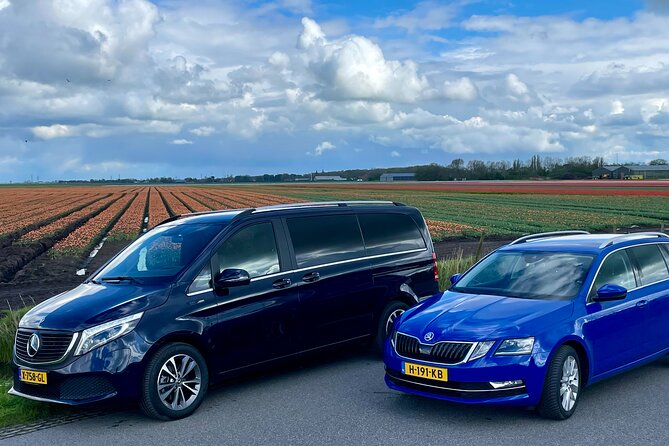 Private Tour to Zaanse Schans, Volendam, and Marken - Price and value: what you’re paying for