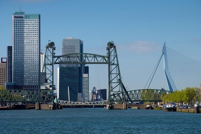 Private Transfer from Rotterdam to Amsterdam - The Professional Meet-Up Moment (Punctuality and Luggage Handling)