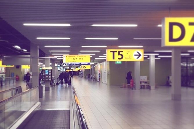 Private Transfer from the Cruise Port Amsterdam to AMS Schiphol - The 30-minute transfer: what to expect once you’re on the way