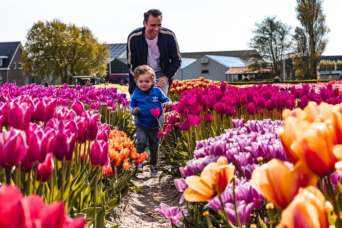 Private Tulip Fields, Windmills and Cheese Tour from Amsterdam - Price and Logistics: When This Private Tour Feels Worth It