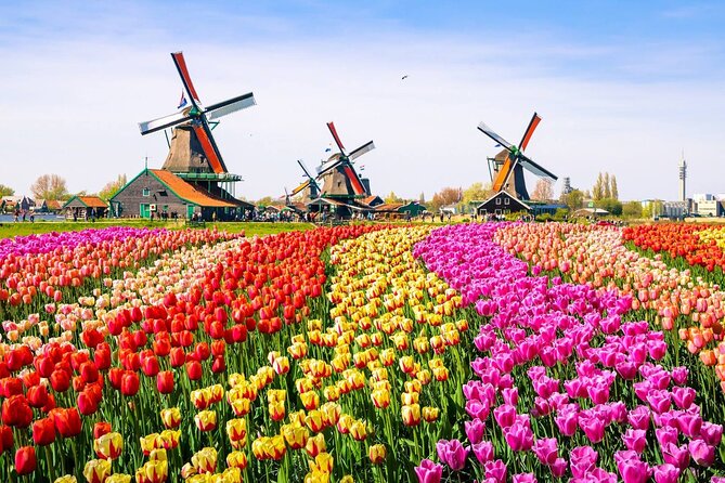 Private Zaanse Schans & Volendam Tour: Windmills, Cheese & Clogs - Volendam: a fishing village with time to wander